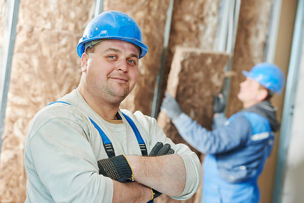 Insulation Repair Services in Webster City, IA